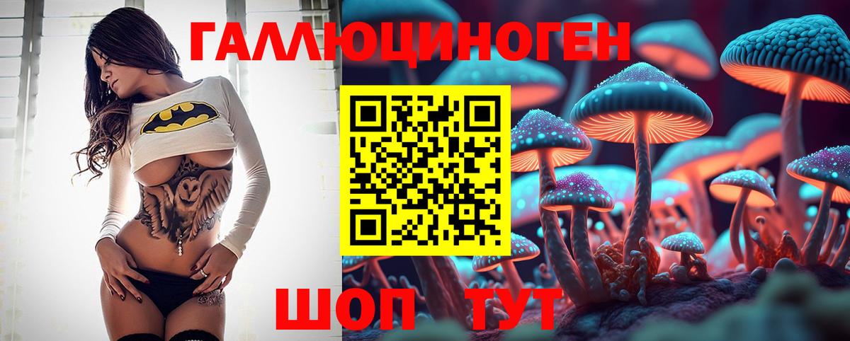 Галлюциногенные грибы Psilocybe  купить   Кемерово  Вход с VPN 